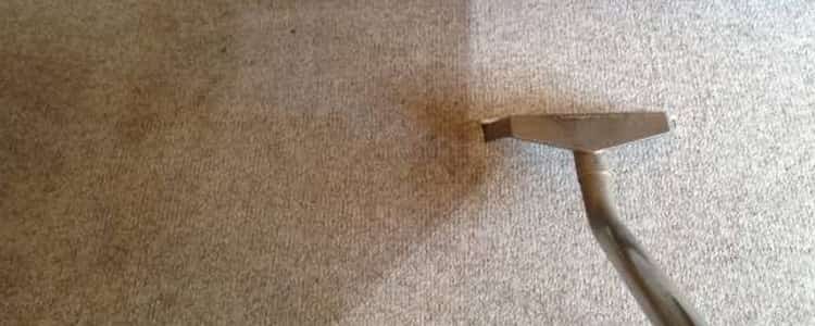 Best End of Lease Carpet Cleaning Montrose