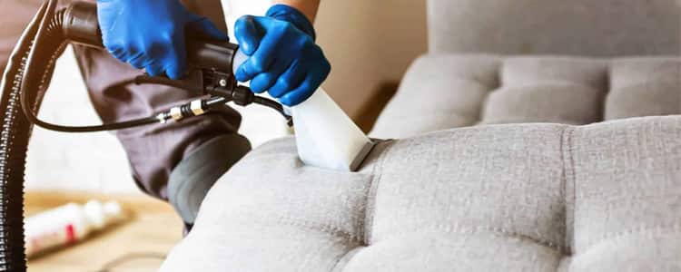 Best Upholstery Cleaning Montrose