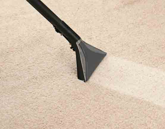carpet cleaning montrose